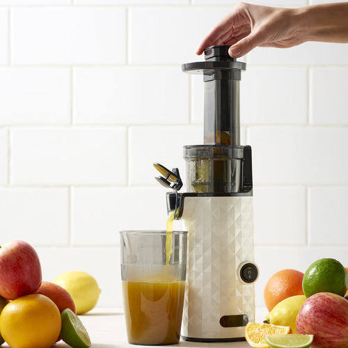 Electric Compact Slow Juicer Temple Webster